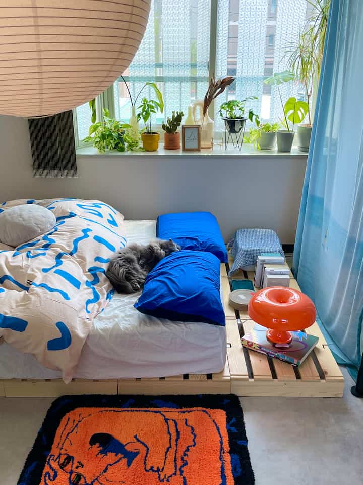 Beige and blue toned bedroom featuring natural wood platform bed with blue pillows, beige duvet cover, and a cat resting, creating a natural modern atmosphere