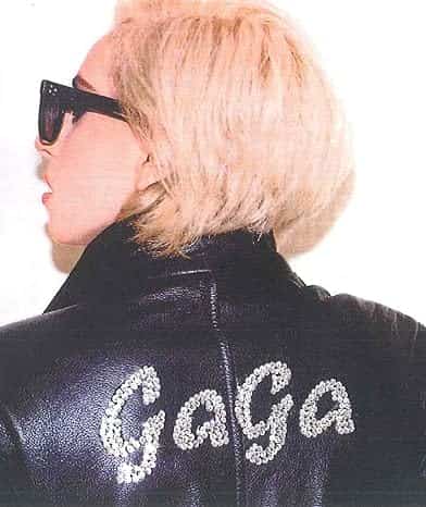 LADY GAGA×TERRY RICHARDSON 単行本