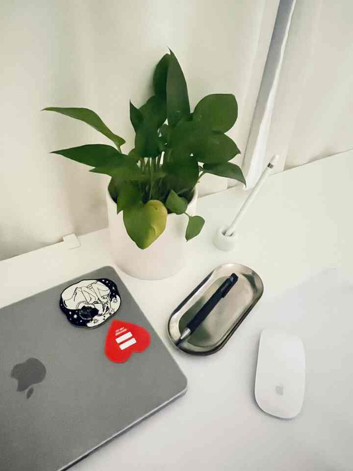 🪩♥️💻🖱️🖊️🌿📉🗄️📁🧷



#シンプルなインテリア 
#ホワイトインテリア #シンプルインテリア
#ナチュラルインテリア #ワークスペース
#収納 #賃貸収納 #ワンルームインテリア 
