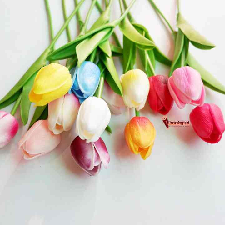 Bunga Tulip Latex