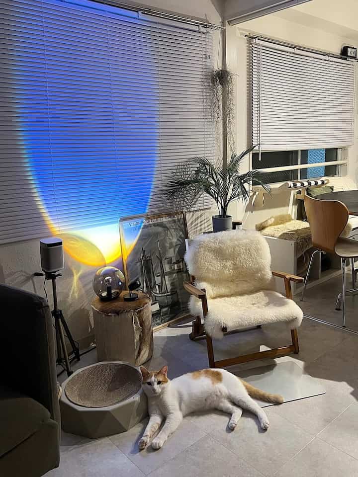 白と茶色のトーンのリビング、シープスキンの椅子と猫の爪とぎが配置された居心地の良い空間