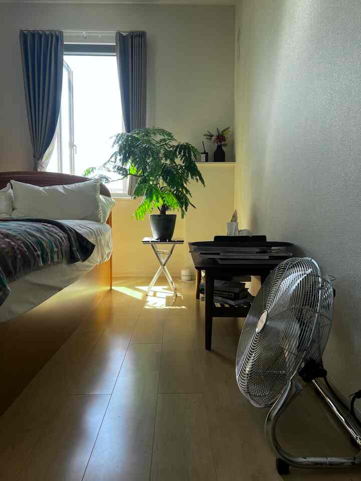 エバーフレッシュとお昼寝した日🌿素敵な日。

#エバーフレッシュ
#フロアファン
#PENDLETON