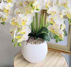 Bunga anggrek cabang 5