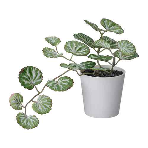 FEJKA, Tanaman tiruan dengan pot, dalam/luar ruang putih/hijau, 6 cm