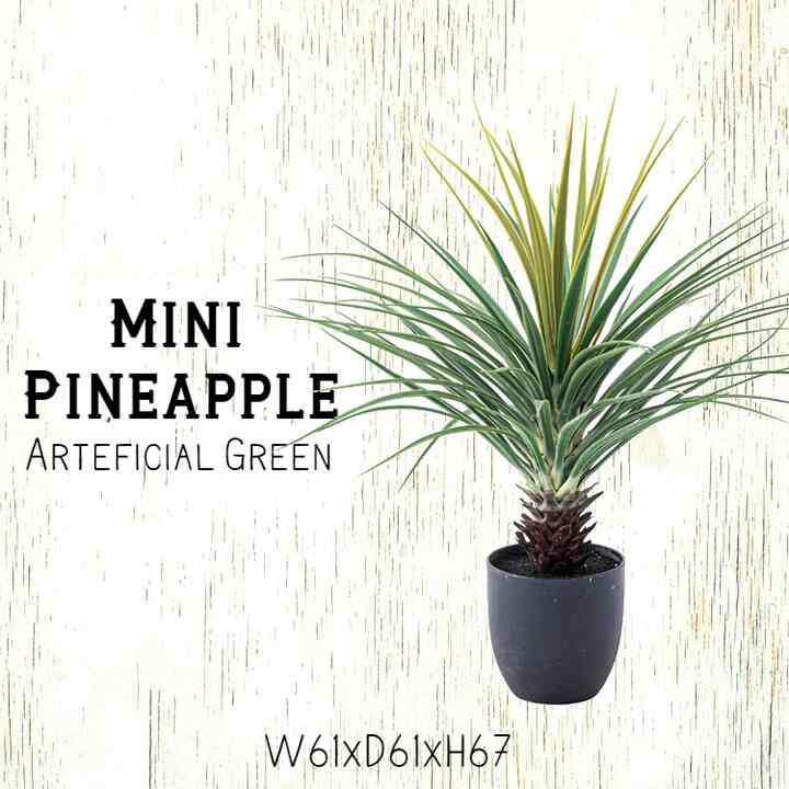 人工観葉植物 ミニパイナップル フェイクグリーン