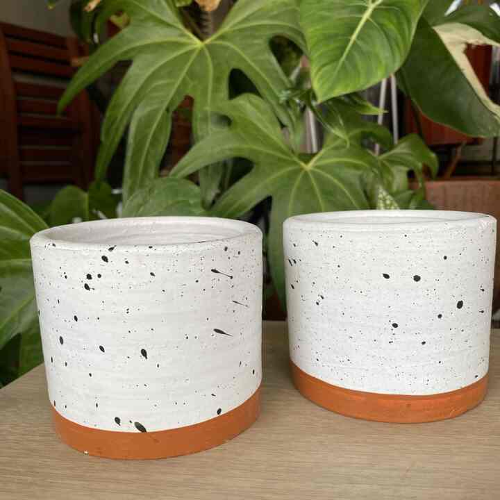 Pot gerabah terakota D9 - Putih coklat