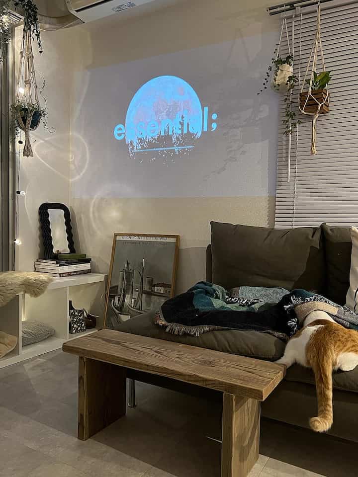 暖かい色調のリビング、広い茶色のソファと木製コーヒーテーブル、そして猫がくつろぐ印象的な空間