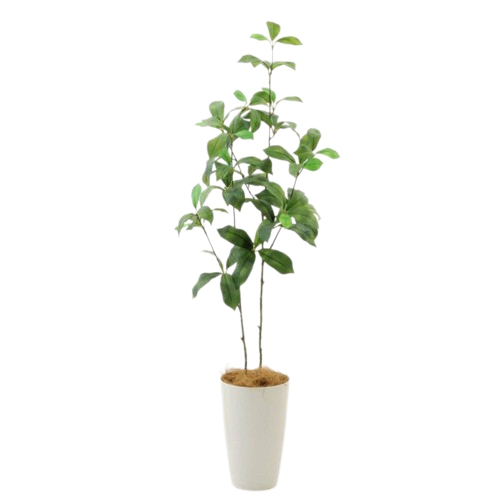 プレミアム光触媒フェイクグリーン  ツツジ 2本立