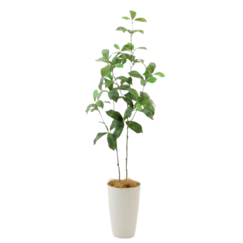 造花ドットコム プレミアム光触媒フェイクグリーン ツツジ 2本立 造花ドットコム プレミアム光触媒フェイクグリーン ツツジ 2本立