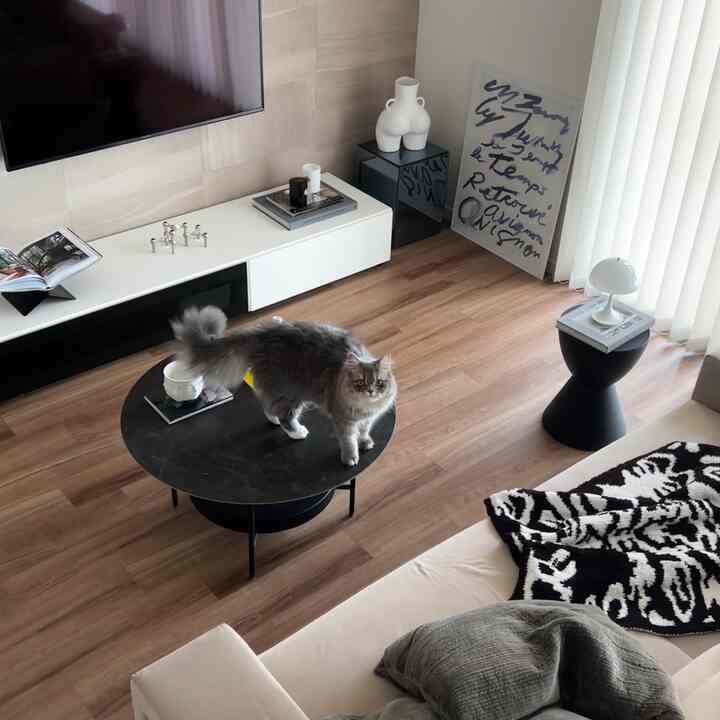 ナチュラルカラーのウッドフロアとベージュソファが置かれ、黒いコーヒーテーブルの上に猫がいるミニマルな北欧風リビング