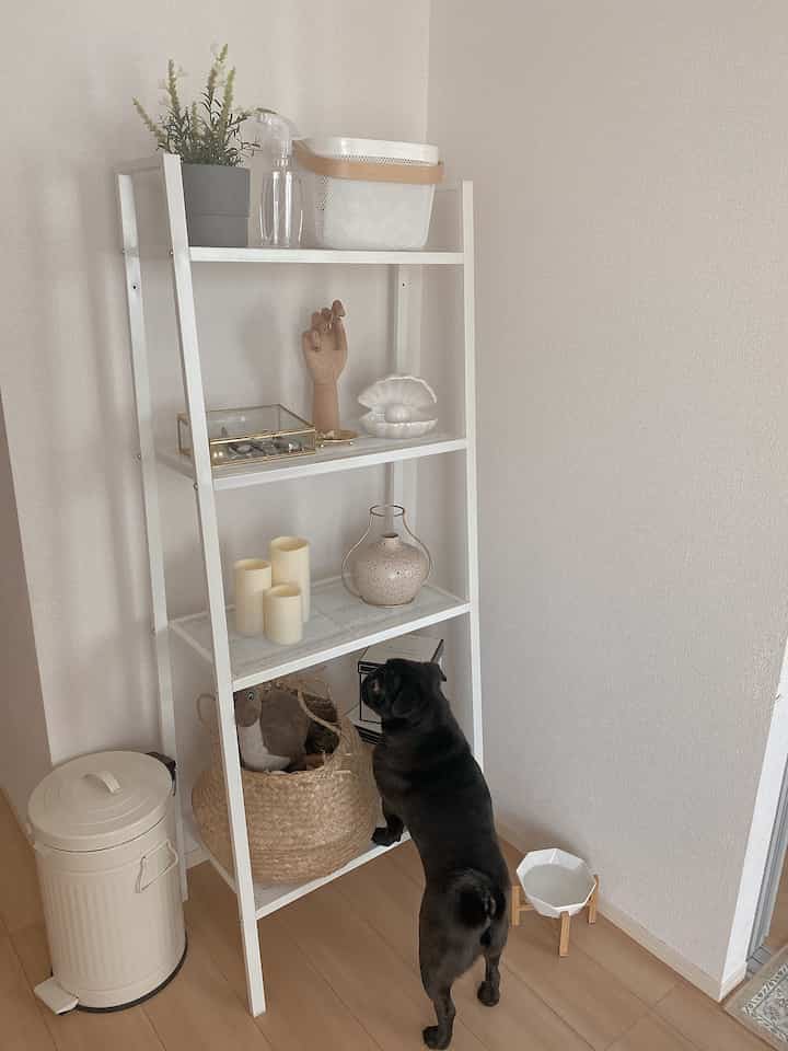 White-walled room with a white shelf and wood-tone floor featuring a dog exploring a basket of toys in a cozy corner