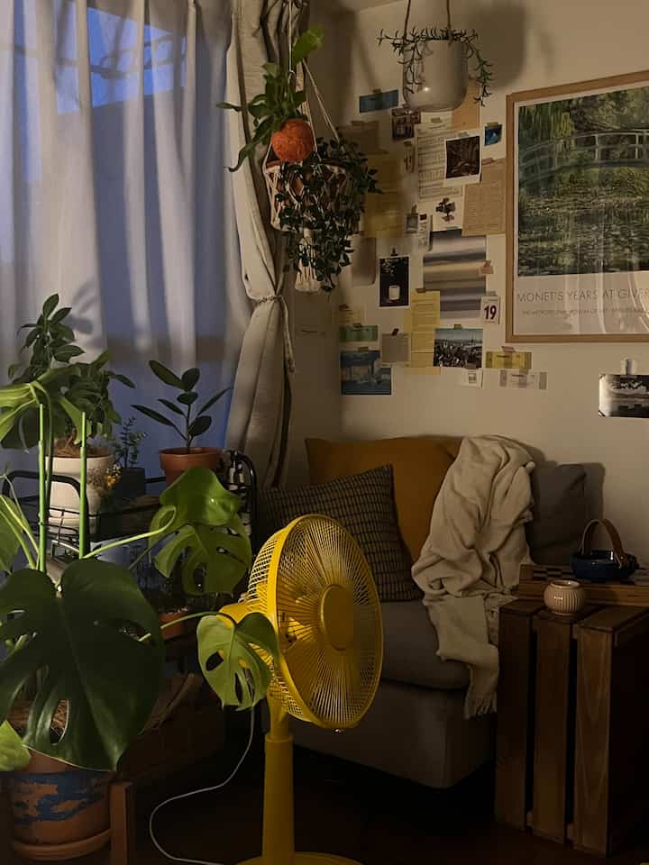Natural tone living room featuring various plants, a yellow fan, cozy sofa, and a blanket in a warm nighttime setting
