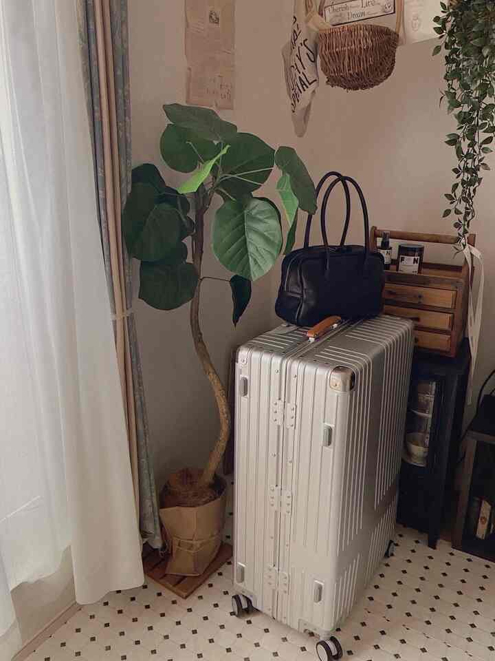 白を基調とした背景に緑の観葉植物、シルバーのキャリーケースと木製の収納が配置された落ち着いた空間