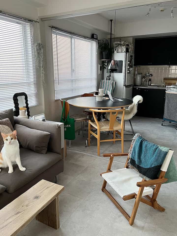 白とグレーの色調のリビングとダイニングルーム、ソファに猫が座り、自然な木製家具が配置されたモダンな空間