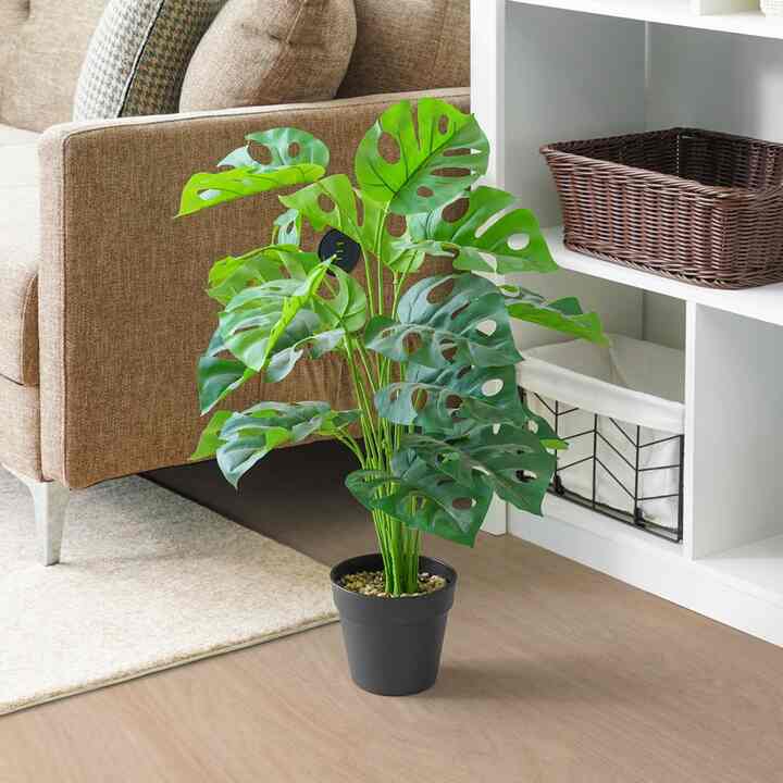 Tanaman Artifisial 70 Cm Monstera Adansonii L1