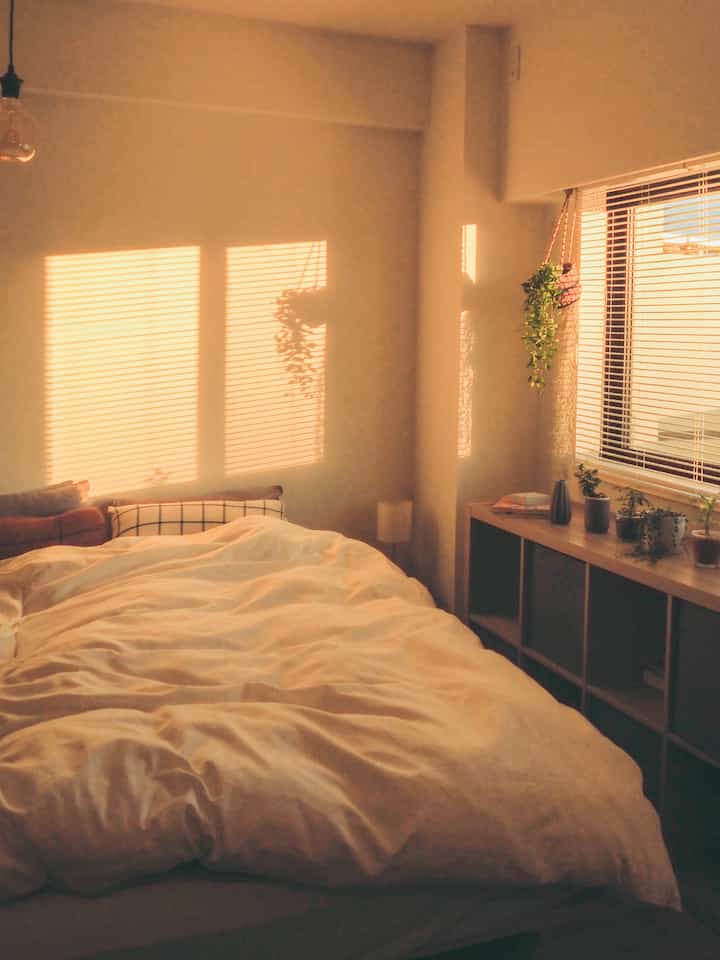 暖かな自然光が差し込む白を基調とした1LDKの寝室、ブラインドと植物が配された居心地の良いインテリア