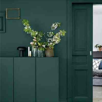 Cat Tembok 6243 Classic Green