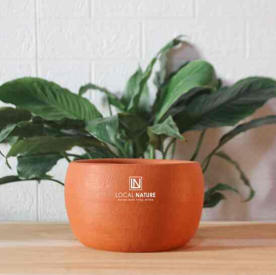 Terracotta Pot