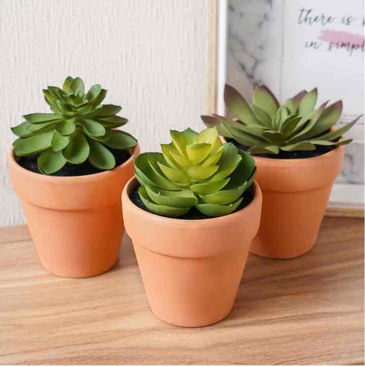 Tanaman Artifisial Sukulen Set 3pcs - random