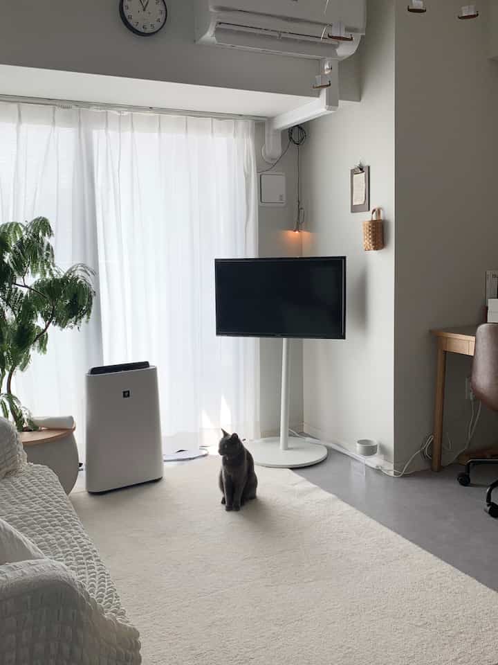 明るい白とグレーのトーンのリビング、中央に猫が座り、窓際にテレビ台、左にソファと空気清浄機が配置されたシンプルなインテリア
