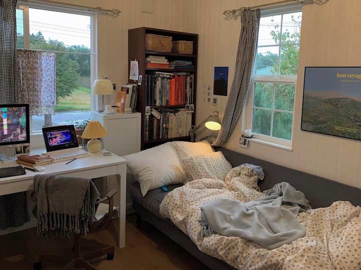 Natural tone bedroom and home office space featuring a sofa bed and bookshelf with a cozy atmosphere