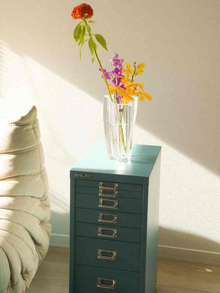 我が家の数少ない色物家具🤖🩵
キャスター付けて動かせるようにしたから気分で置く場所コロコロ変えれるし導入してみた！良い！
絶妙でめっちゃ綺麗なインディゴってカラー

#bisley #キャビネット #収納インテリア #ロゼトーゴ