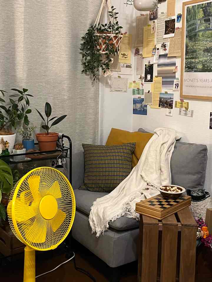 Natural-toned living room featuring gray sofa with mustard cushions and a wall decorated with various photos and plants, creating a cozy atmosphere