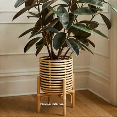 Standing pot rotan