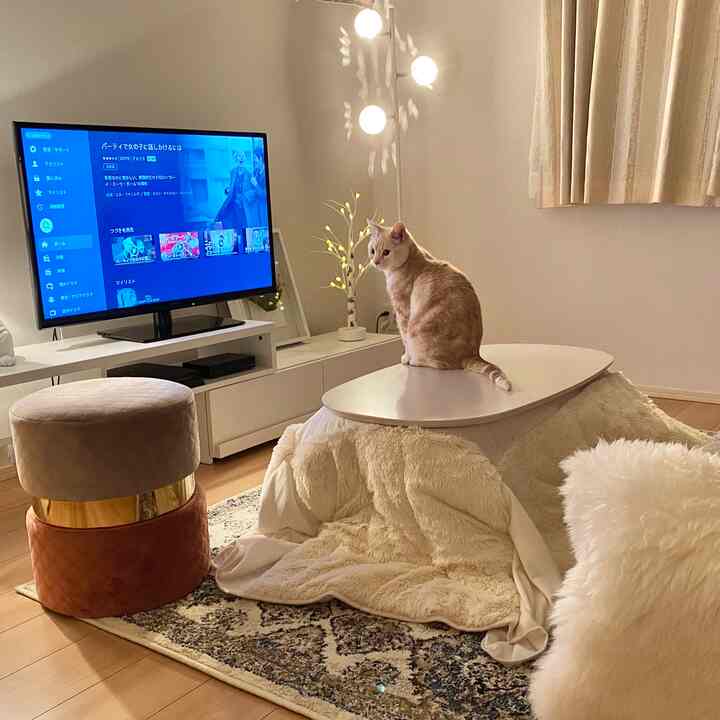 Ivory and light brown toned living room featuring a central kotatsu with a cat, rug, and stools creating a cozy atmosphere