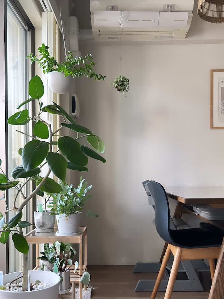 Sunbathing.
#Living room #観葉植物 #マンション暮らし #HAY #STOKKE #IKEA