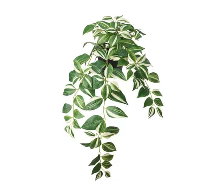 FEJKA Artificial potted plant, in/outdoor/tradescantia zebrina