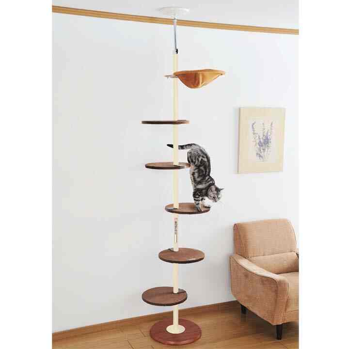 キャットタワー 突っ張り スリム ボンビアルコン
