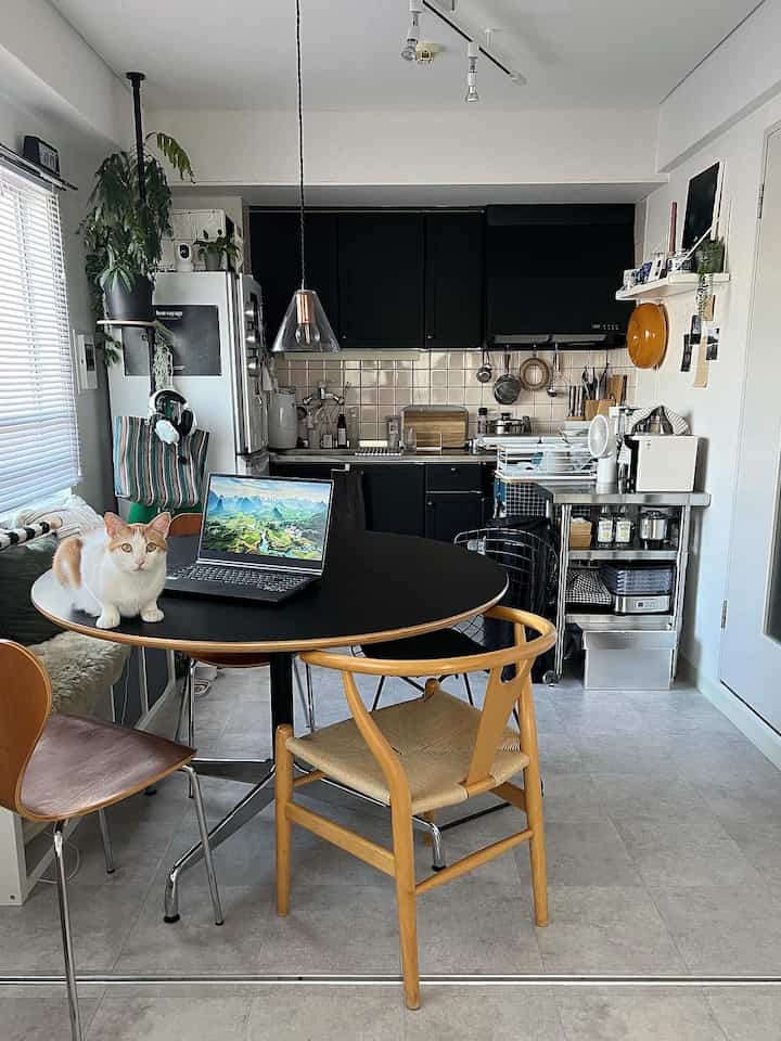 白とナチュラルカラーのダイニングルーム、黒いダイニングテーブルにはノートパソコンと猫が置かれ、モダンでミニマルな雰囲気のインテリア