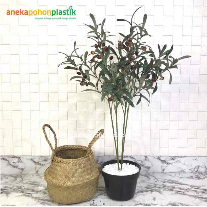 Pohon Daun Zaitun Tangkai X4