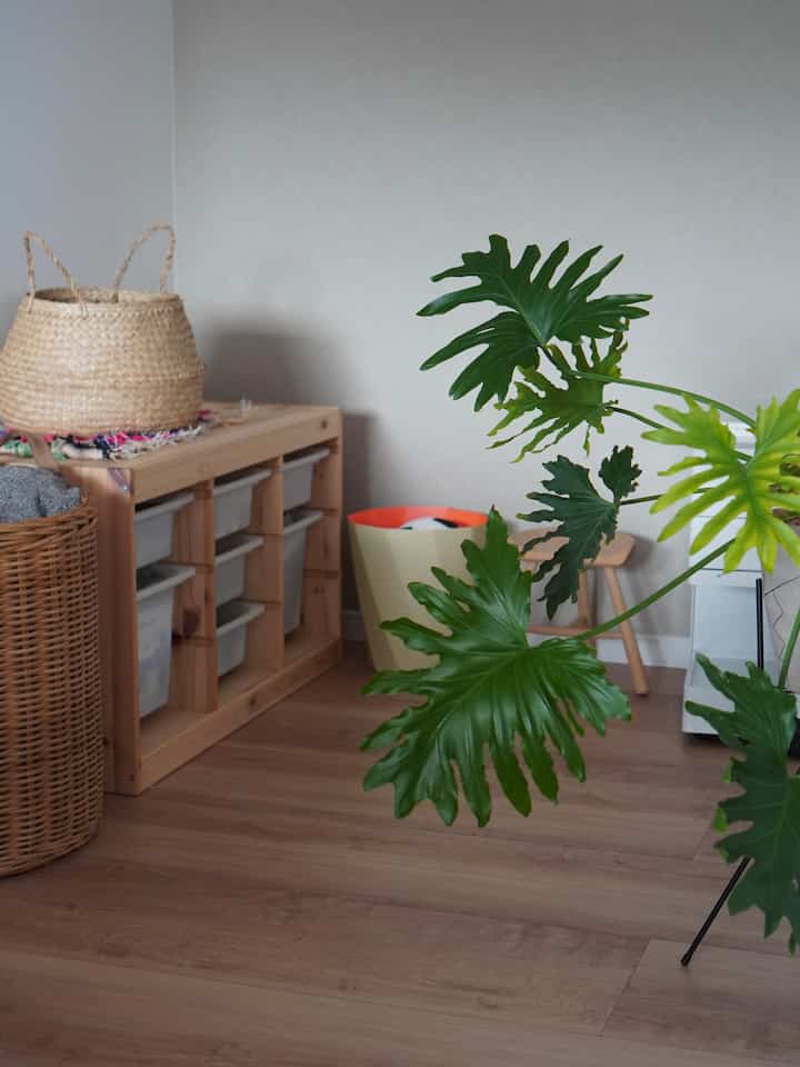 ナチュラルカラーの子供部屋、大きな葉の植物と木製のおもちゃ収納が配置された落ち着いた雰囲気のインテリア