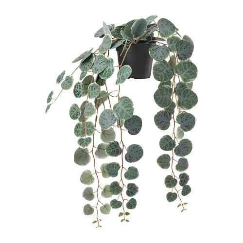 FEJKA Tanaman tiruan dalam pot, dalam/luar ruang digantung/string of hearts, 9