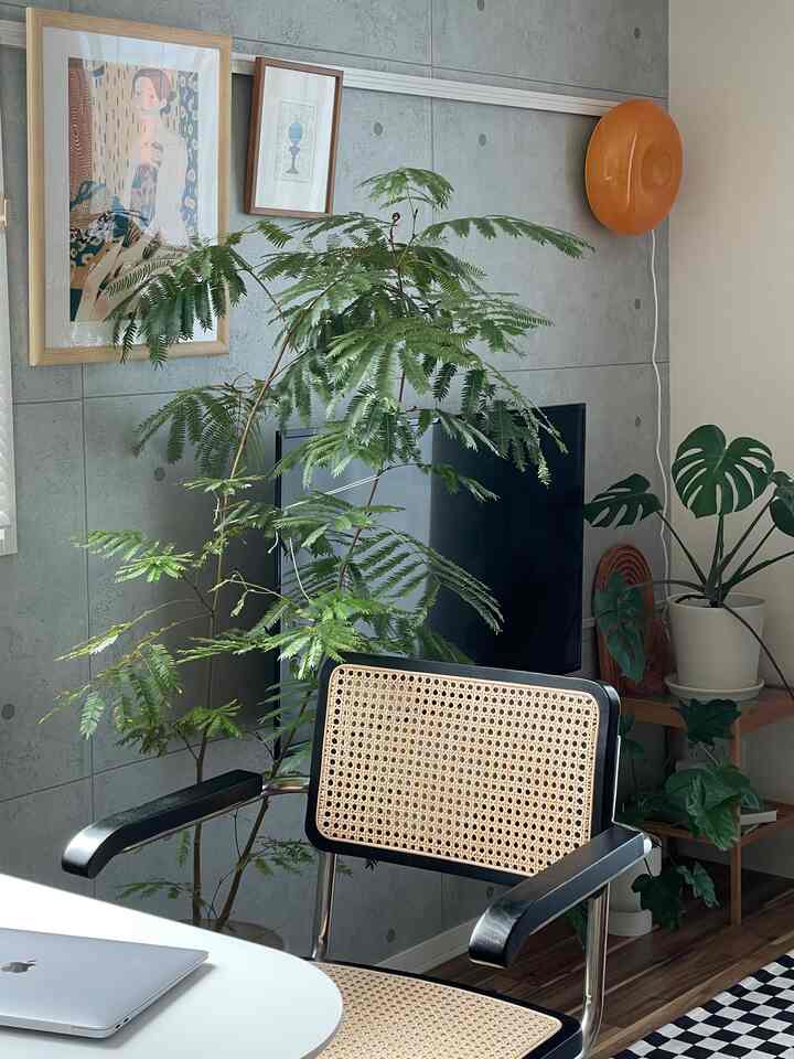 Ruang favorit saya dilihat dari sisi makan. Akhir-akhir ini aku hanya posting di malam hari, tapi aku juga suka saat matahari terbenam. Nesna berubah warna dengan minyak.
#Interior ruang tamu #リビングルーム #ポストモダン #ミッドセンチュリー #壁紙DIY
#Sewa DIY #チェックラグ