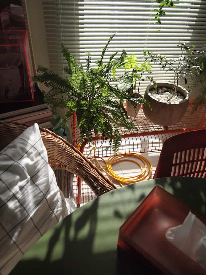 ナチュラルカラーと木目調の空間、ラタンチェアと複数の植物が配置された温かみのあるインテリア