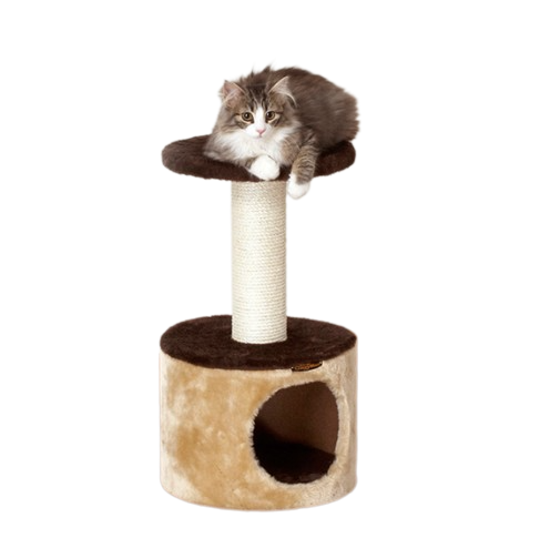 キャットタワー ドギーマン コンパクトルーム