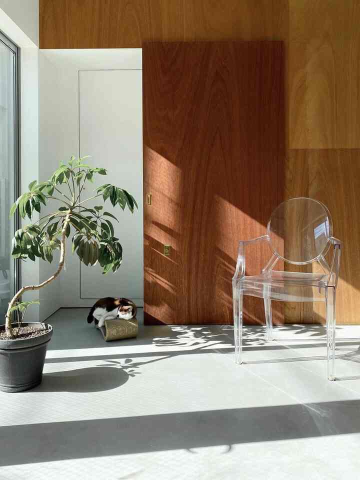 一階アトリエの朝の光が好き🫶🏻
旗竿地で自然光を確保する為に東側をガラス玄関にして引き違い窓も。
#カルテル #kartel #クリアチェア