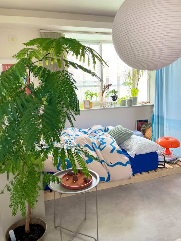 Blue and green toned bedroom featuring plants and cozy bedding with a natural, harmonious atmosphere