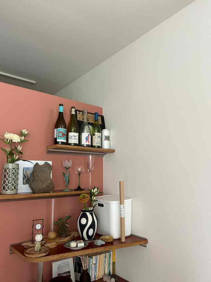 White walls and brown wooden shelves featuring wine bottles, vases, and plants in a cozy home bar space