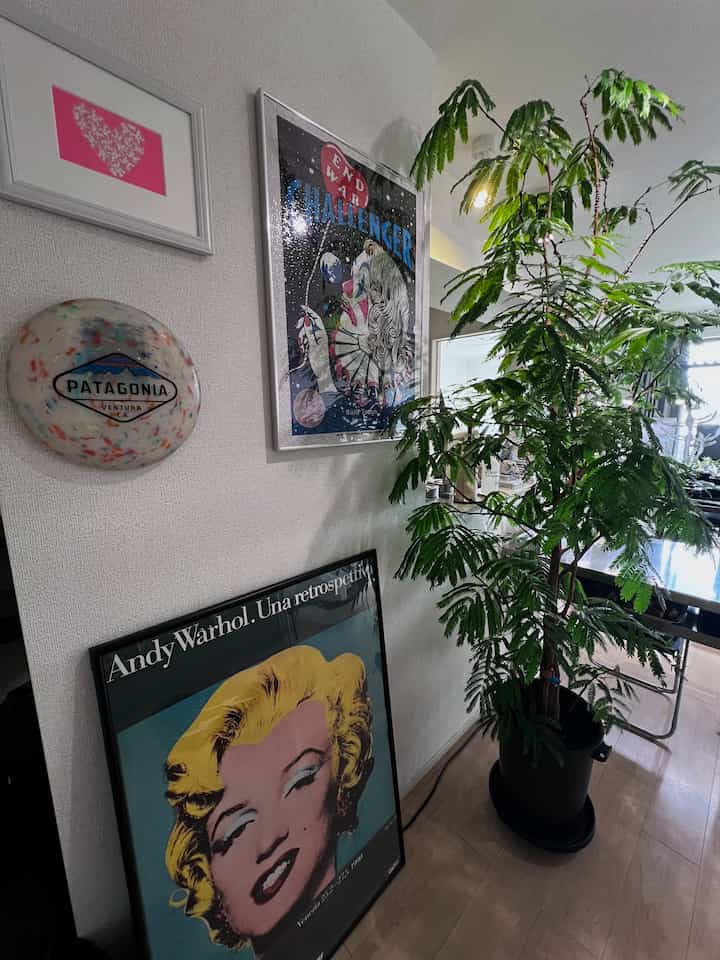 2メートルのエバーフレッシュ🪴
我が家のシンボルツリーです。

#エバーフレッシュ