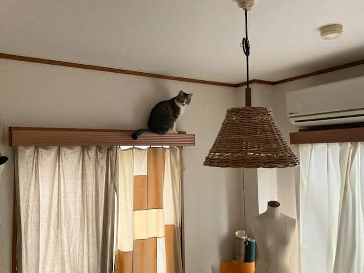 Natural beige-toned bedroom featuring a rattan pendant light and a cat sitting atop curtains, creating a cozy indoor atmosphere