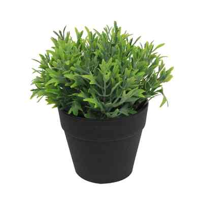 Tanaman Artificial 18.5 Cm Set 3 Pcs