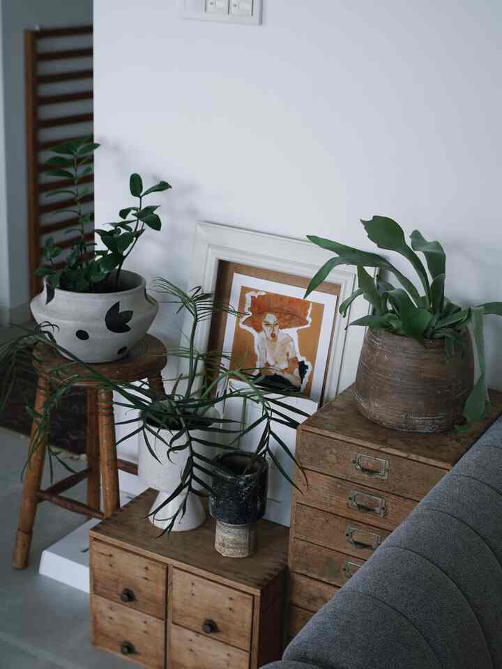 Cozy living room corner with natural brown tones featuring various plants in pots on wooden furniture and stool, alongside a gray sofa partly visible