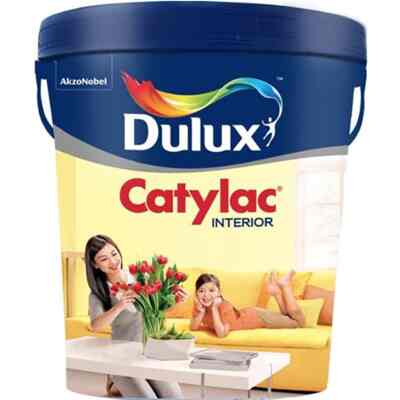 Cat Tembok Catylac 5 kg Request Warna