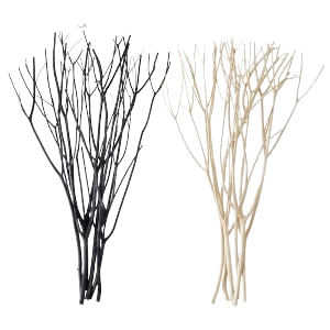 aroma branch ミツマタ 枝 自然 ディフューザー用