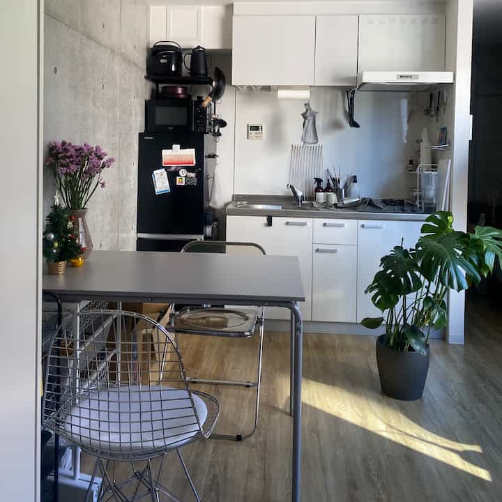 白と木目調のキッチンと多目的スペース、メタルのダイニングチェアと大きな観葉植物が配置されたコンパクトでミニマルな雰囲気のインテリア