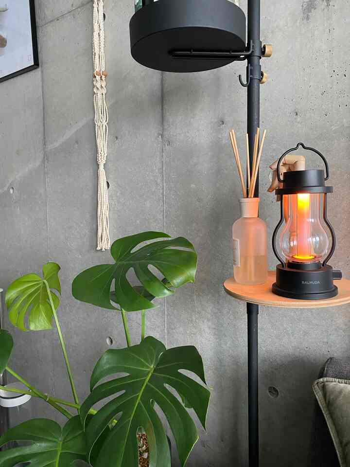 グレーのコンクリート壁とナチュラルな緑植物が配置された、間接照明のある寝室の雰囲気の良いインテリア